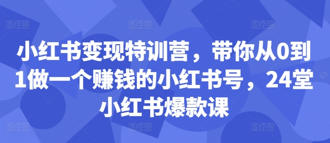 小红书变现特训营，带你从0到1做一个赚钱的小红书号，24堂小红书爆款课-买得值资源库