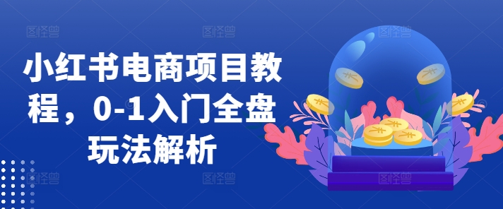 小红书电商项目教程，0-1入门全盘玩法解析-买得值资源库