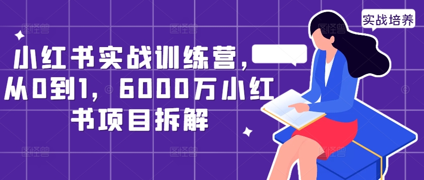 小红书实战训练营，从0到1，6000万小红书项目拆解-买得值资源库