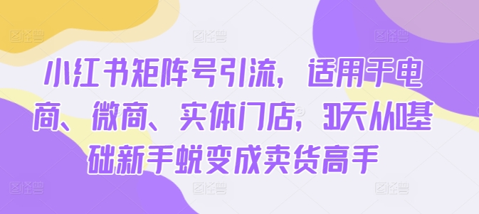 小红书矩阵号引流，适用于电商、微商、实体门店，30天从0基础新手蜕变成卖货高手-买得值资源库