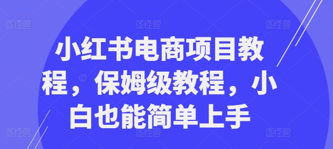 小红书电商项目教程，保姆级教程，小白也能简单上手-买得值资源库
