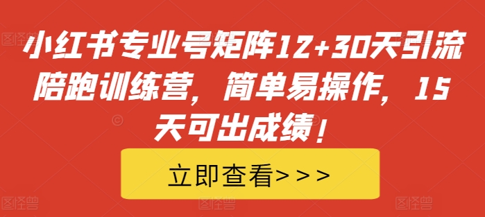 小红书专业号矩阵12+30天引流陪跑训练营，简单易操作，15天可出成绩!-买得值资源库