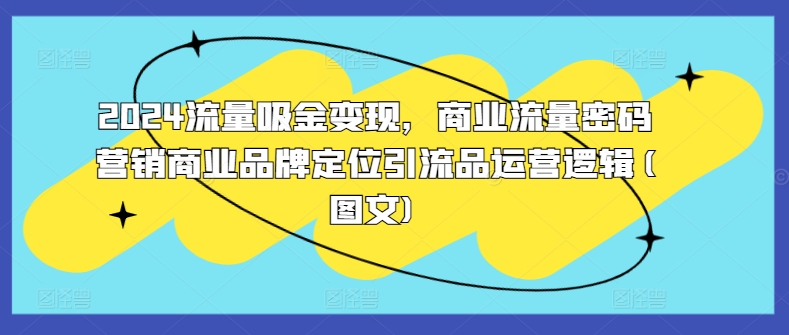 2024流量吸金变现，商业流量密码营销商业品牌定位引流品运营逻辑(图文)-买得值资源库