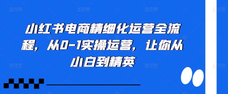 小红书电商精细化运营全流程，从0-1实操运营，让你从小白到精英-买得值资源库