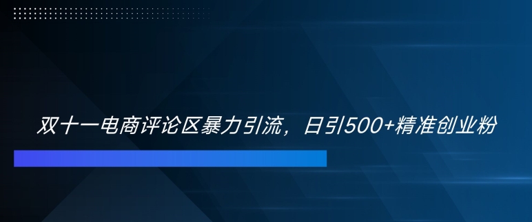 双十一电商评论区暴力引流，日引500+精准创业粉【揭秘】-买得值资源库
