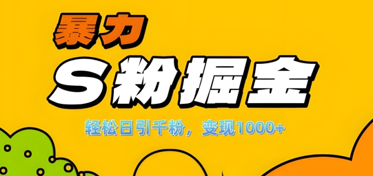 单人单机日引千粉，变现1k+，S粉流量掘金计划攻略【揭秘】-买得值资源库