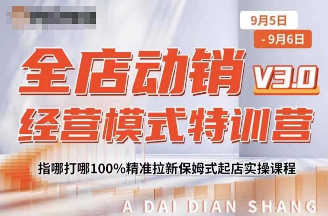 全店动销经营模式特训营，指哪打哪100%精准拉新保姆式起店实操课程-买得值资源库