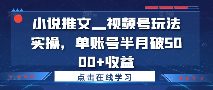 小说推文—视频号玩法实操，单账号半月破5000+收益-买得值资源库