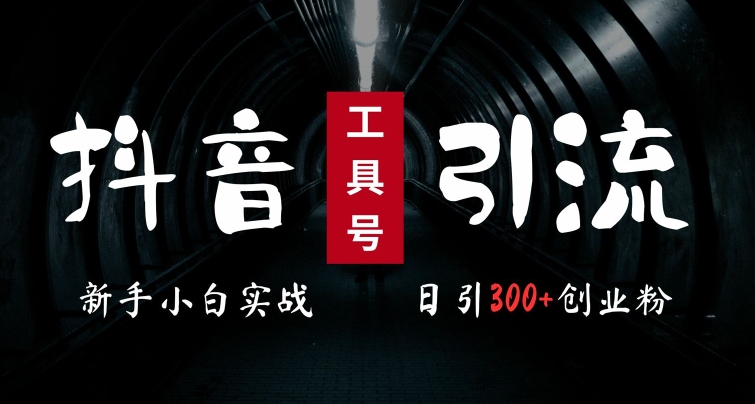 2024最新抖音工具号引流玩法，高效日引300+创业粉，当天变现5k，小白也可成为实战高手-买得值资源库