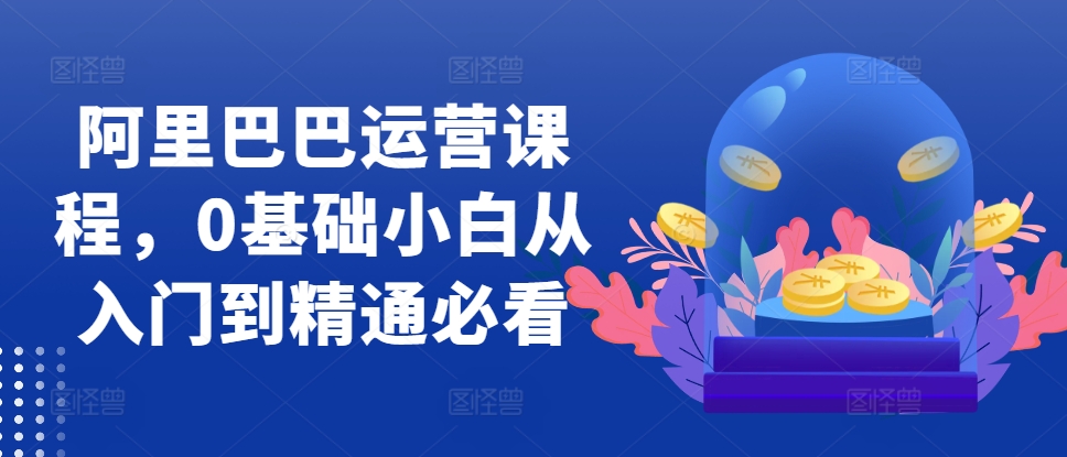 阿里巴巴运营课程，0基础小白从入门到精通必看-买得值资源库