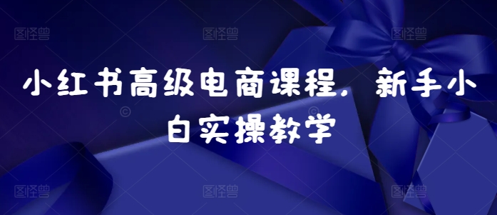 小红书高级电商课程，新手小白实操教学-买得值资源库