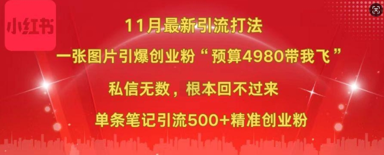 小红书11月最新图片打粉，一张图片引爆创业粉，“预算4980带我飞”，单条引流500+精准创业粉-买得值资源库