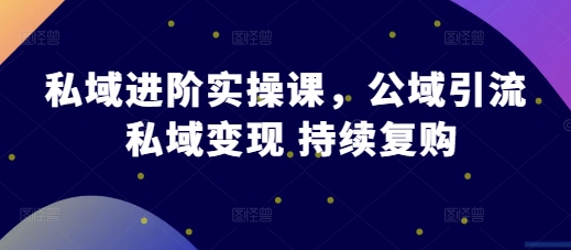 私域进阶实操课，公域引流 私域变现 持续复购-买得值资源库