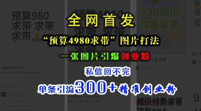 小红书“预算4980带我飞”图片打法，一张图片引爆创业粉，私信回不完，单条引流300+精准创业粉-买得值资源库