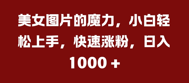 美女图片的魔力，小白轻松上手，快速涨粉，日入几张【揭秘】-买得值资源库