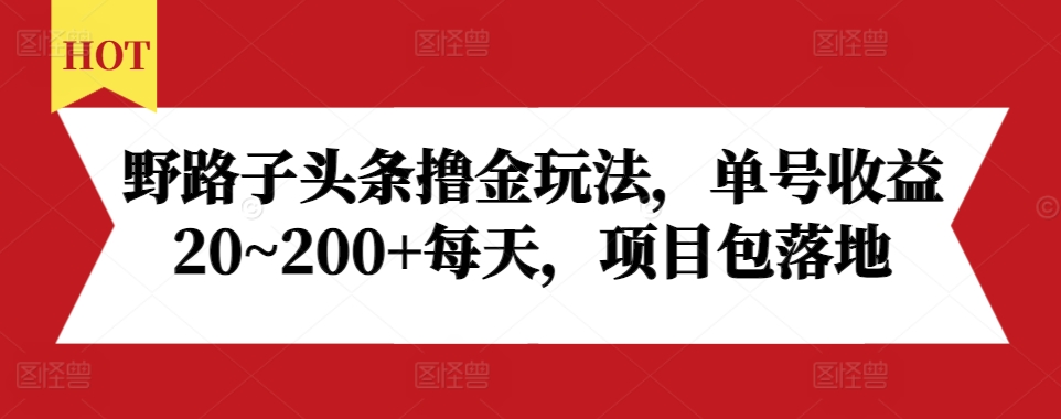 野路子头条撸金玩法，单号收益20~200+每天，项目包落地-买得值资源库