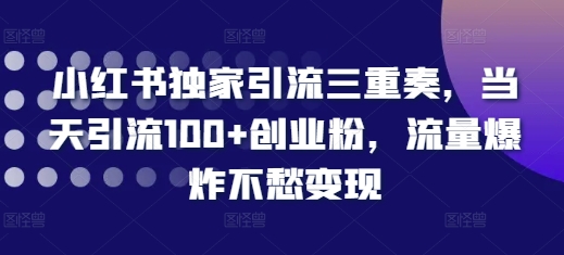 小红书独家引流三重奏，当天引流100+创业粉，流量爆炸不愁变现【揭秘】-买得值资源库