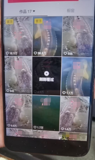 外面卖399的国学佛像原创暴力起号技术，快速起号，7天可达到一个万粉号-买得值资源库
