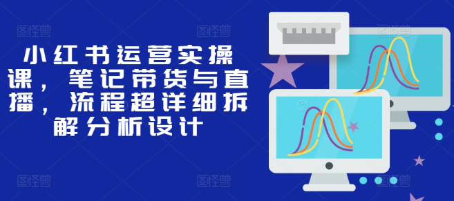 小红书运营实操课，笔记带货与直播，流程超详细拆解分析设计-买得值资源库