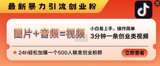 抖音最新暴力引流创业粉，3分钟一条创业类视频，24h轻松加爆一个500人精准创业粉群【揭秘】-买得值资源库