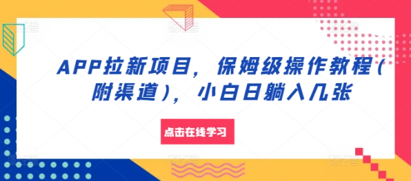APP拉新项目，保姆级操作教程(附渠道)，小白日躺入几张【揭秘】-买得值资源库