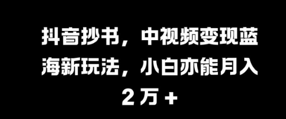 抖音抄书，中视频变现蓝海新玩法，小白亦能月入 过W【揭秘】-买得值资源库