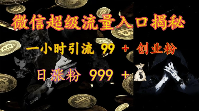 微信超级流量入口揭秘：一小时引流 99 + 创业粉，日涨粉 999 +-买得值资源库