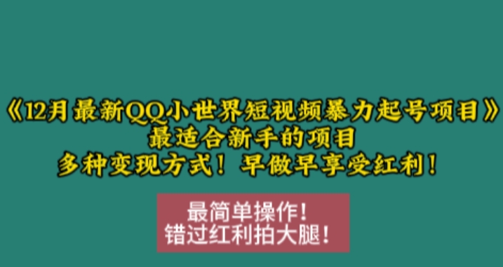 12月最新QQ小世界短视频暴力起号项目，最适合新手的项目，多种变现方式-买得值资源库