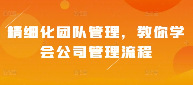 精细化团队管理，教你学会公司管理流程-买得值资源库