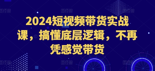 2024短视频带货实战课，搞懂底层逻辑，不再凭感觉带货-买得值资源库