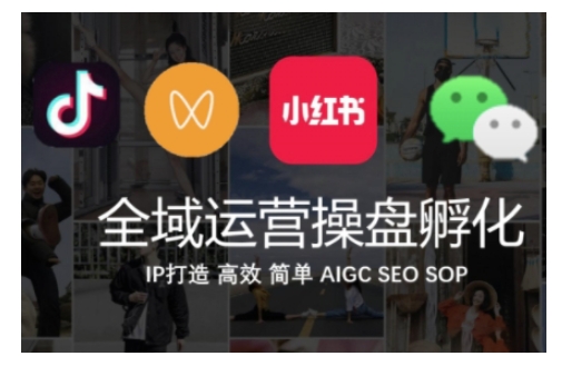 全域运营操盘(抖音+私域+小红书)，IP打造高效简单-买得值资源库