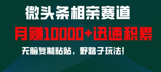微头条相亲赛道，迅速积累，无脑复制粘贴，野路子玩法，月入1w-买得值资源库