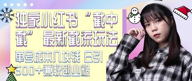 最新小红书截流玩法 独家截中截 单号成本几块钱 日引500+CY粉JZ粉-买得值资源库