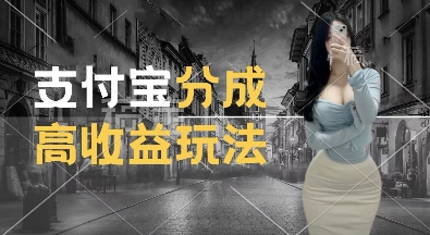 支付宝分成计划新玩法，利用交通事故视频，赚收益，轻松月入过W，操作简单【揭秘】-买得值资源库
