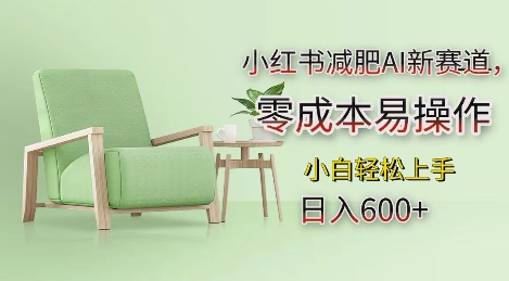 小红书减肥AI新赛道，零成本易操作，日入多张，小白轻松上手【揭秘】-买得值资源库