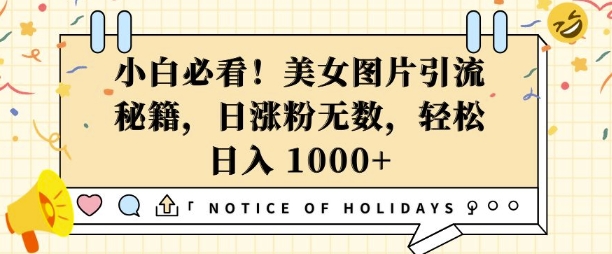 小白必看，美女图片引流秘籍，日涨粉无数，轻松日入几张【揭秘】-买得值资源库