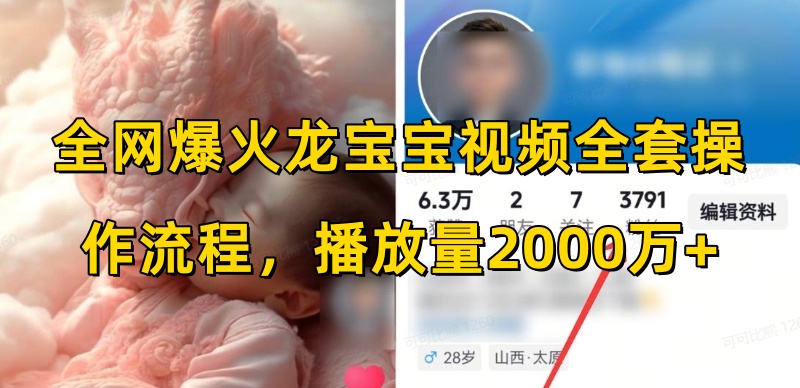 全网爆火龙宝宝视频全套操作流程，播放量2000万+-买得值资源库