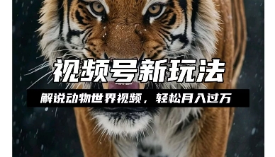 利用动物世界解说视频，赚分成计划收益，轻松月入过W，操作简单【揭秘】-买得值资源库