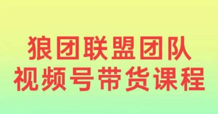 狼团联盟2024视频号带货，0基础小白快速入局视频号-买得值资源库