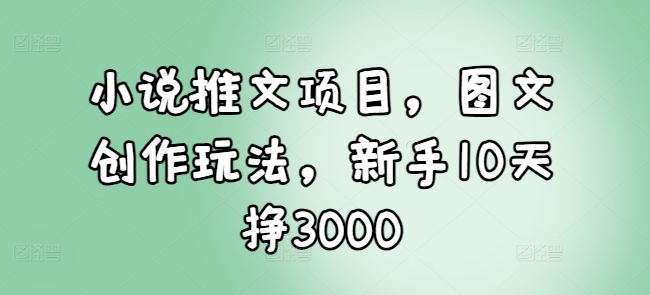 小说推文项目，图文创作玩法，新手10天挣3000-买得值资源库