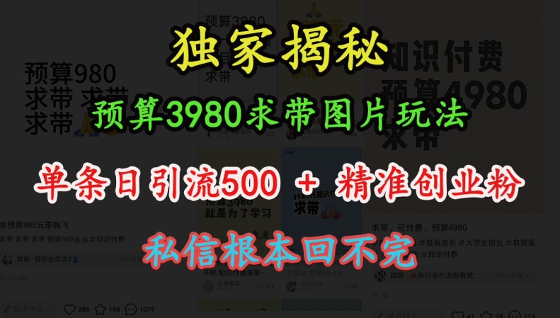 预算3980求带 图片玩法，单条日引流500+精准创业粉，私信根本回不完-买得值资源库