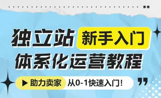 独立站新手入门体系化运营教程，助力独立站卖家从0-1快速入门!-买得值资源库