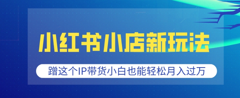 小红书小店新玩法，蹭这个IP带货，小白也能轻松月入过W【揭秘】-买得值资源库