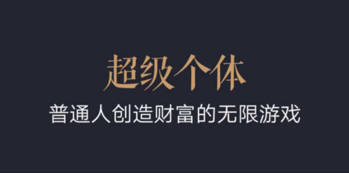 超级个体：2024-2025翻盘指南，普通人创造财富的无限游戏-买得值资源库