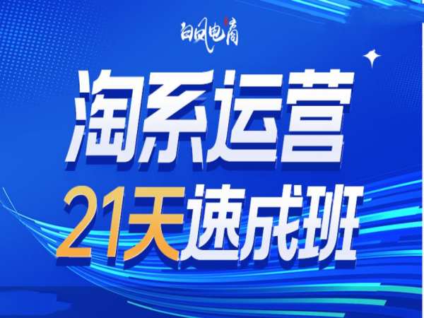 淘系运营21天速成班35期，年前最后一波和2025方向-买得值资源库