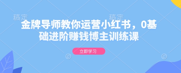 金牌导师教你运营小红书，0基础进阶赚钱博主训练课-买得值资源库
