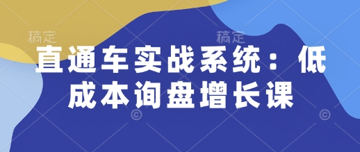 直通车实战系统：低成本询盘增长课，让个人通过技能实现升职加薪，让企业低成本获客，订单源源不断-买得值资源库