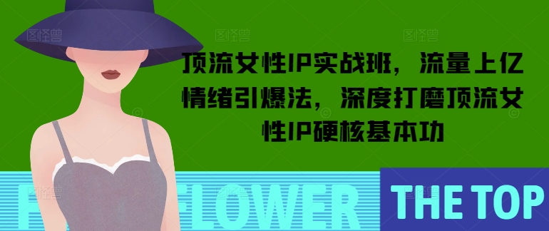 顶流女性IP实战班，流量上亿情绪引爆法，深度打磨顶流女性IP硬核基本功-买得值资源库