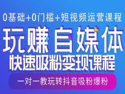 0基础+0门槛+短视频运营课程，玩赚自媒体快速吸粉变现课程，一对一教玩转抖音吸粉爆粉-买得值资源库