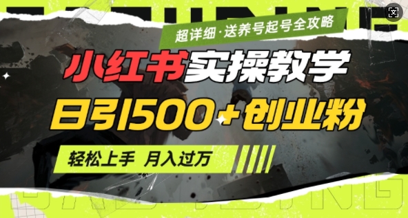 2月小红书最新日引500+创业粉实操教学【超详细】小白轻松上手，月入1W+，附小红书养号起号SOP-买得值资源库